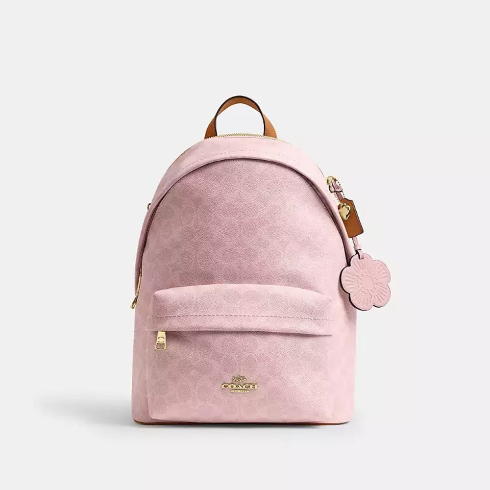 NWT！COACH Taylor Small Backpack In Signature With Charms（CEF46）fast shipping - Picture 8 of 13